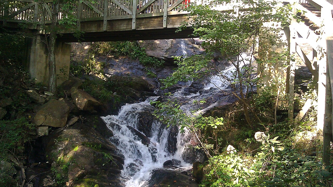 A Local’s Guide to Amicalola Falls: The Perfect Day Trip from North Atlanta