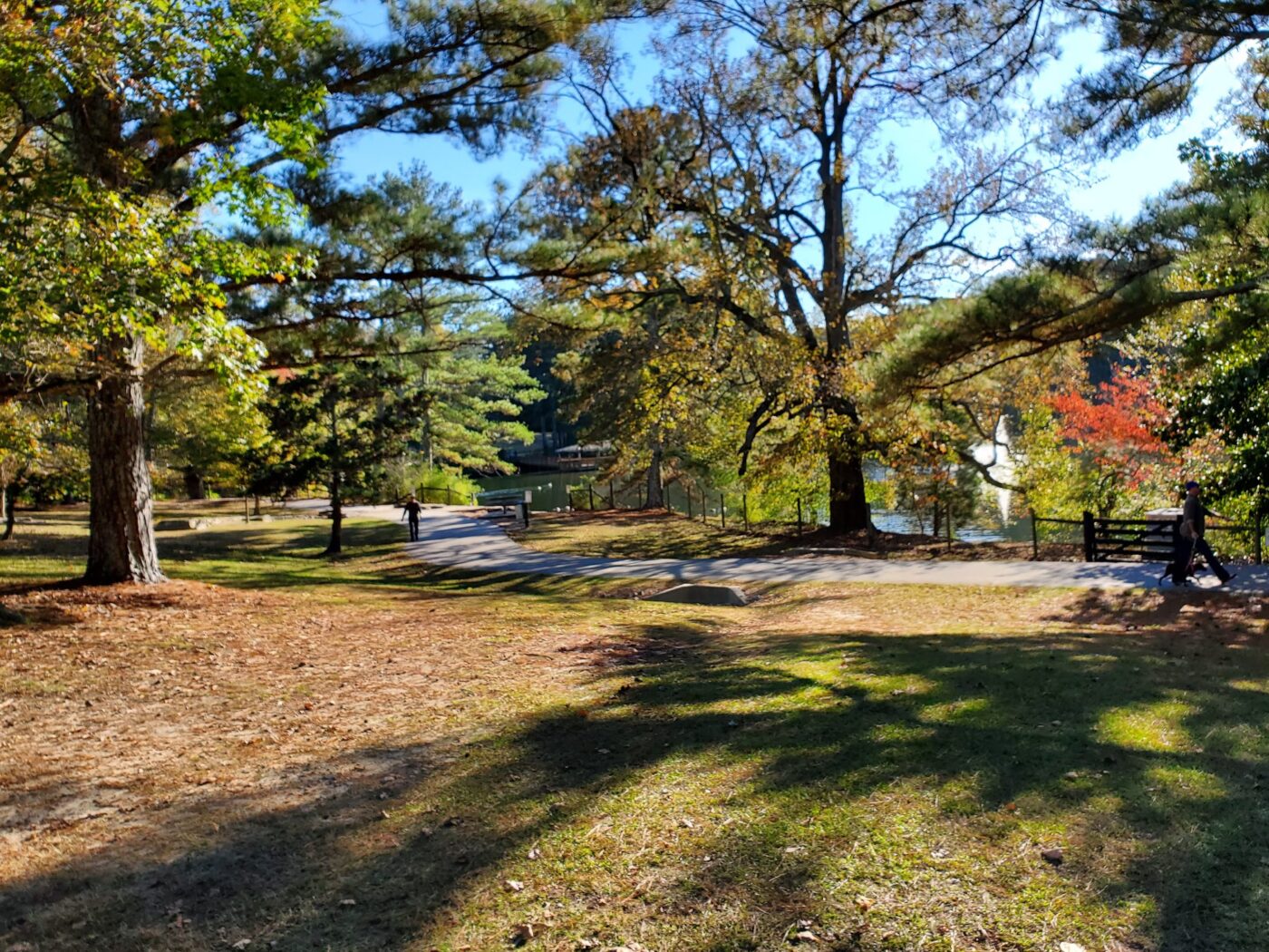 Suwanee Town Center: The Heart of Suwanee, Georgia
