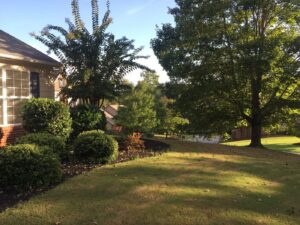 Home services in North Atlanta including cleaning, lawn care, and maintenance