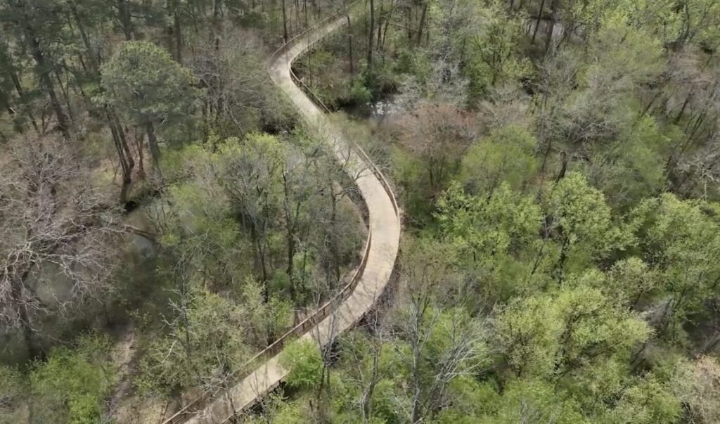 Elevated boardwalk section of the Big Creek Greenway winding through wooded wetlands