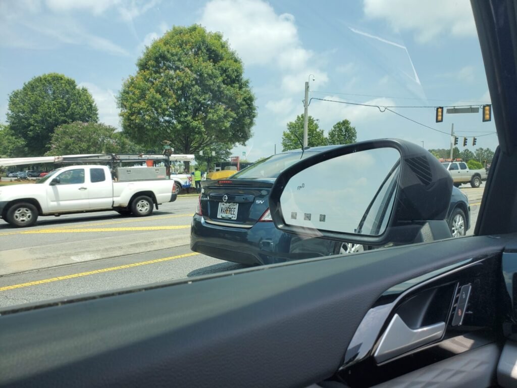 Driving in Georgia