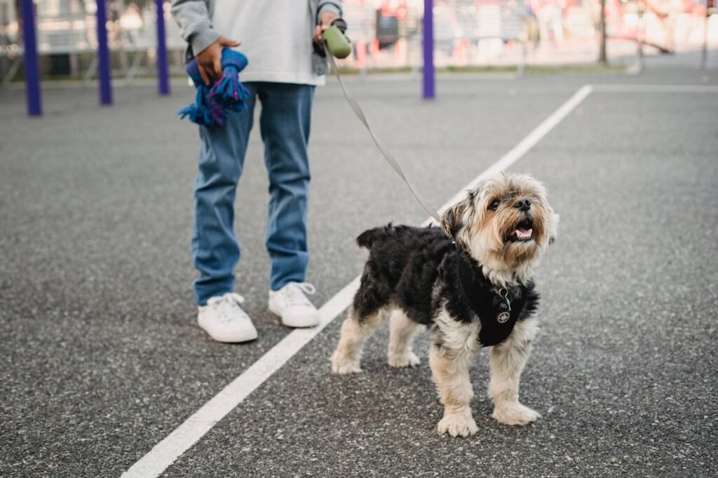 Dog on a leash during a neighborhood walk in Johns Creek-style suburban setting