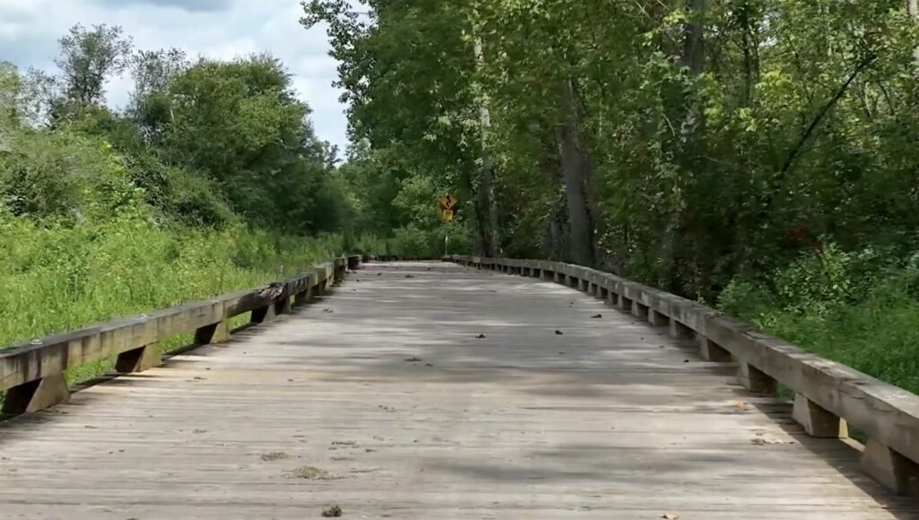 Wooden boardwalk path along the Big Creek Greenway surrounded by trees