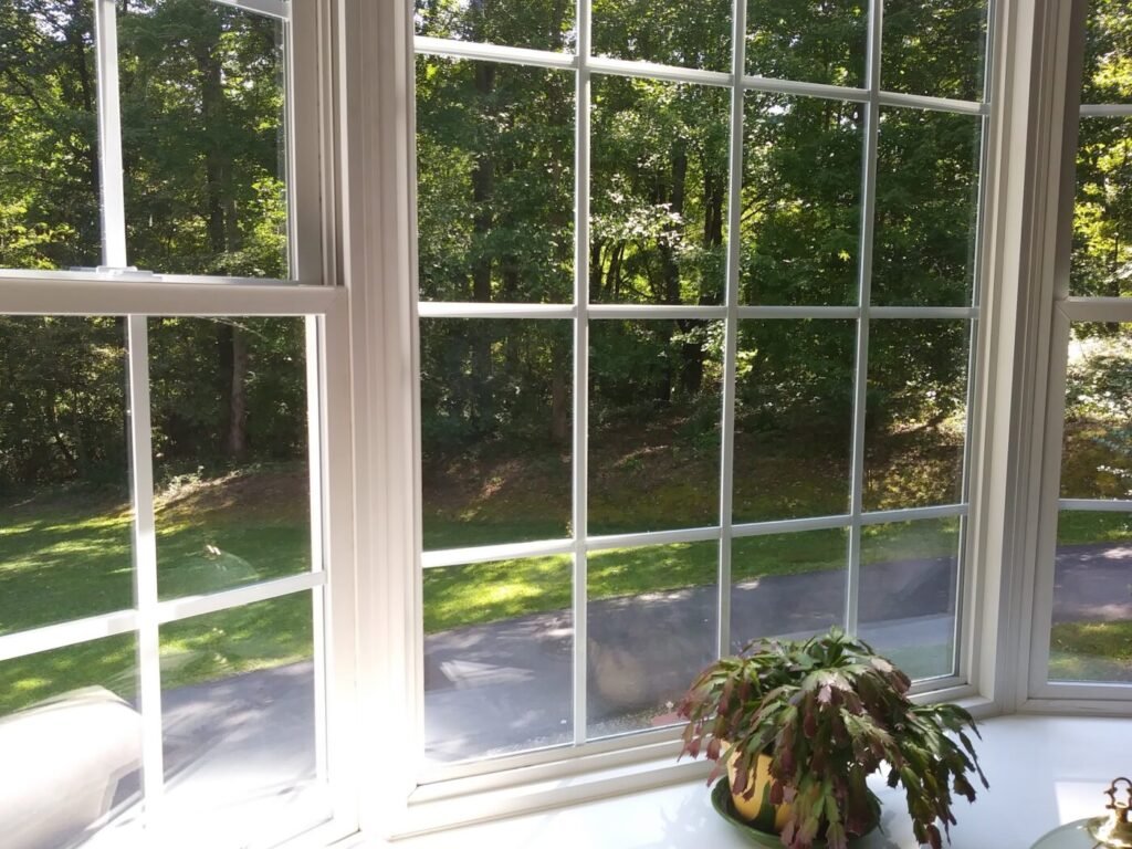 Window