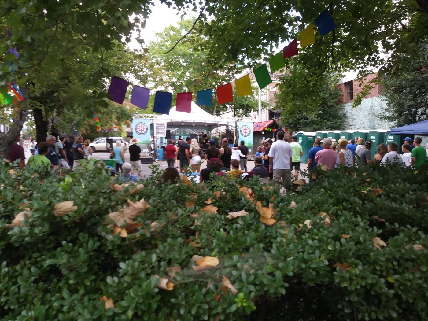 A Weekend in Asheville: Street Music, Mountain Trails, and Great Food