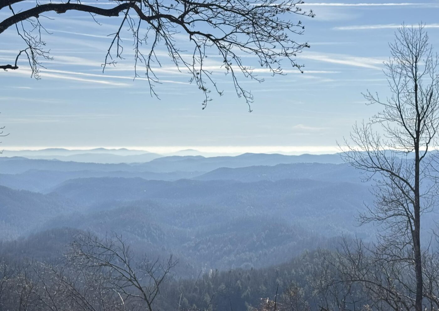 Layered mountain ridges beneath a pale sky with bare tree branches in the foreground