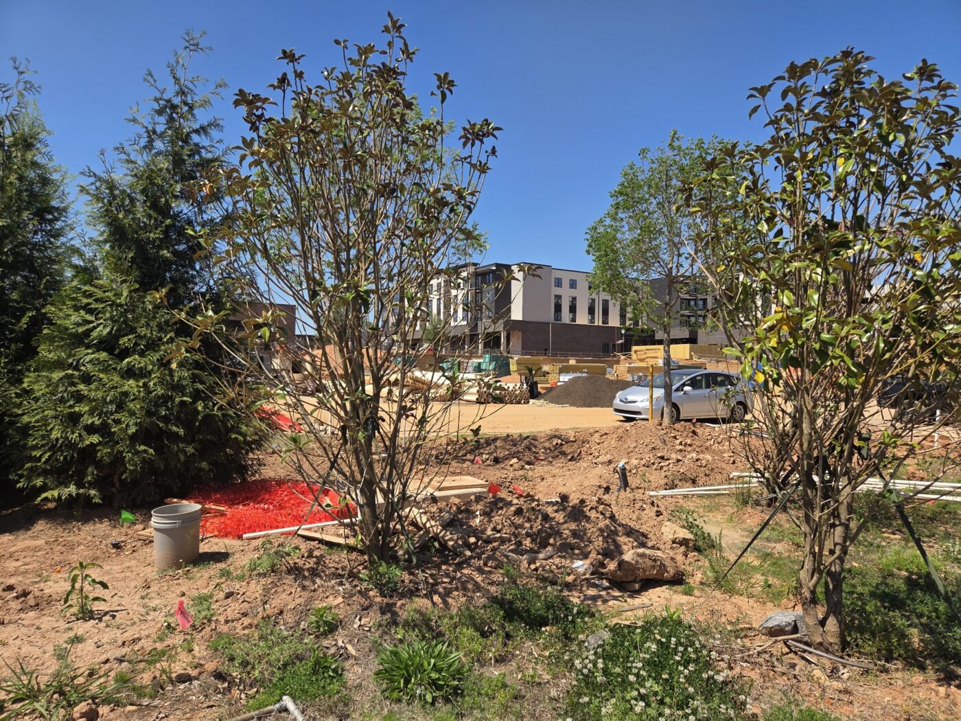 The Medley Bet Is Paying Off Early in Johns Creek