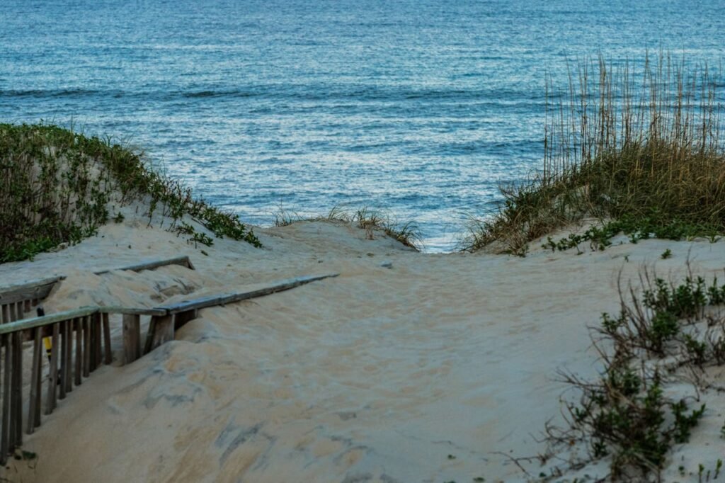 Sandy path through dunes leading toward the ocean