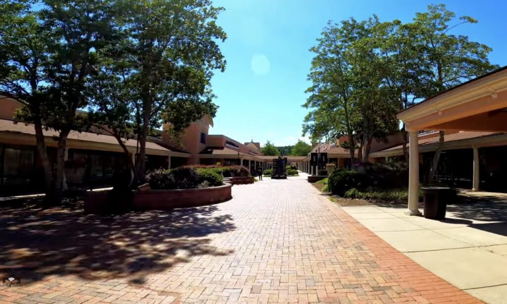 Premium outlet dawsonville