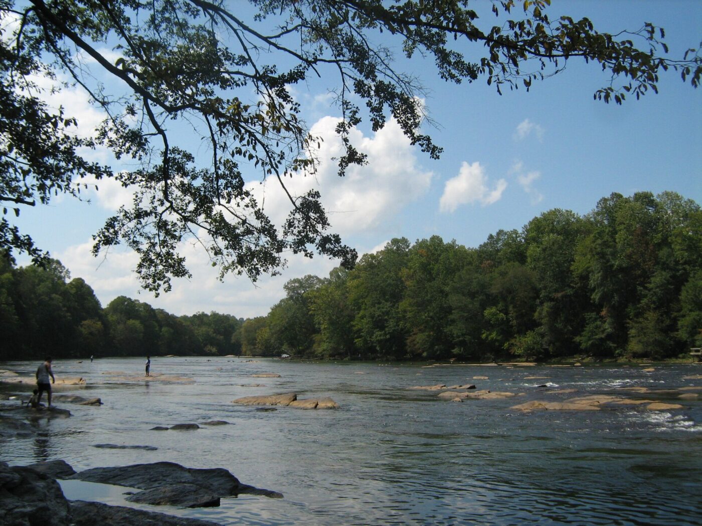 Thousands of Fish Found Dead Along Chattahoochee River Stretch West of Atlanta