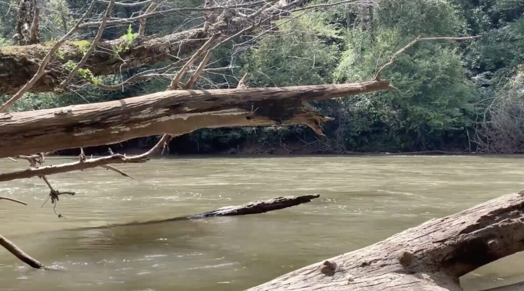Etowah River