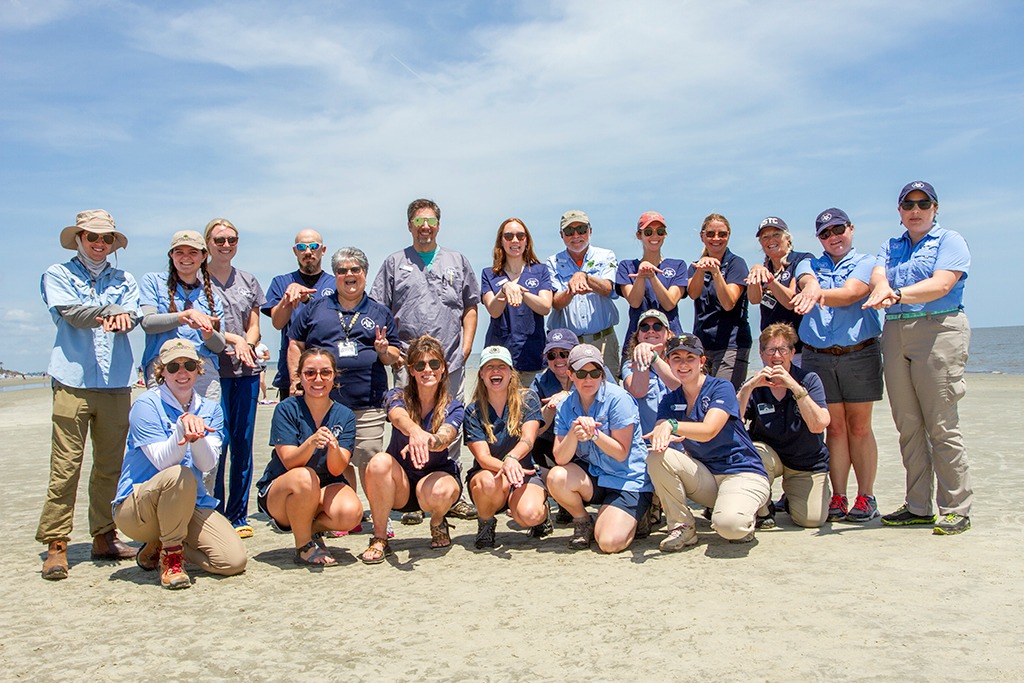 Georgia Sea Turtle Center staff and volunteers pose together on a beach during sea turtle conservation work.