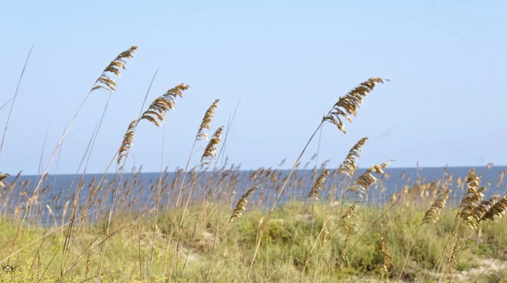 Jekyll Island