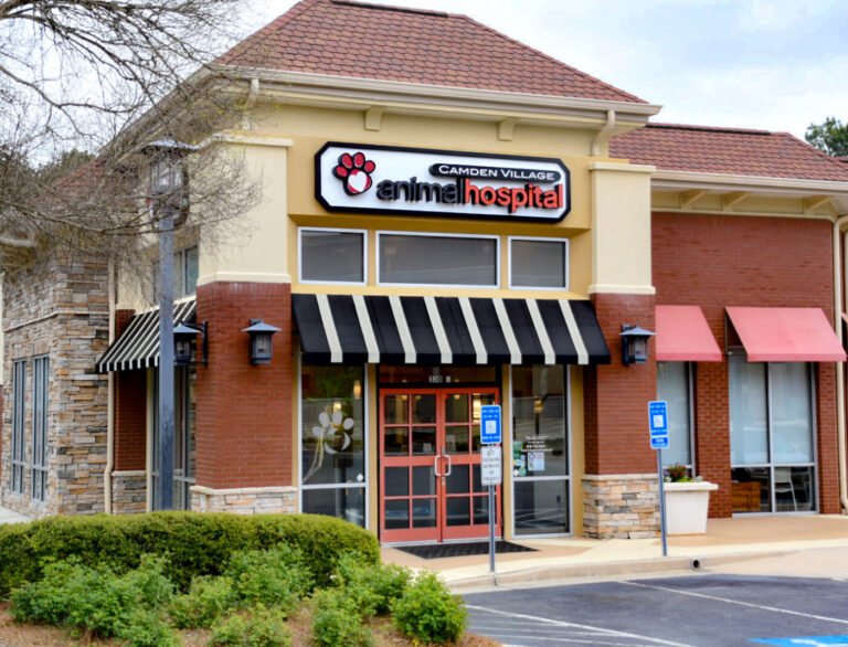 Camden Village Animal Hospital business photo