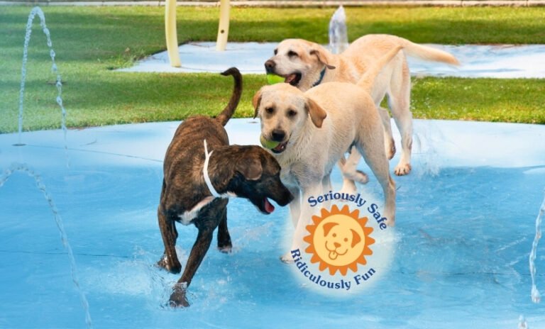 PetSuites Johns Creek business photo