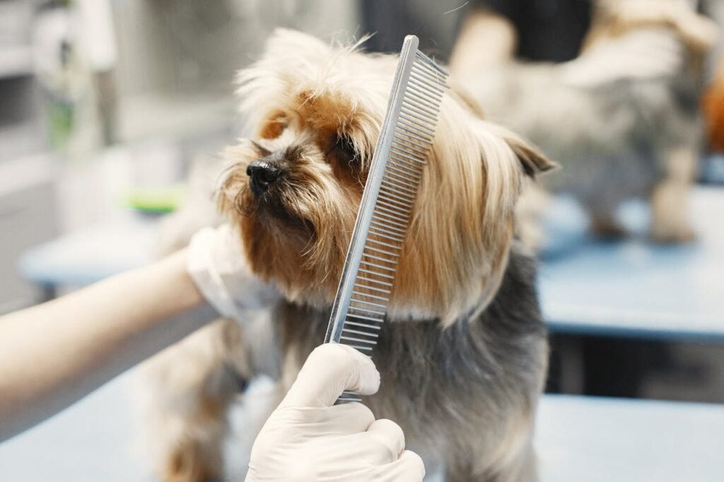 Pet grooming