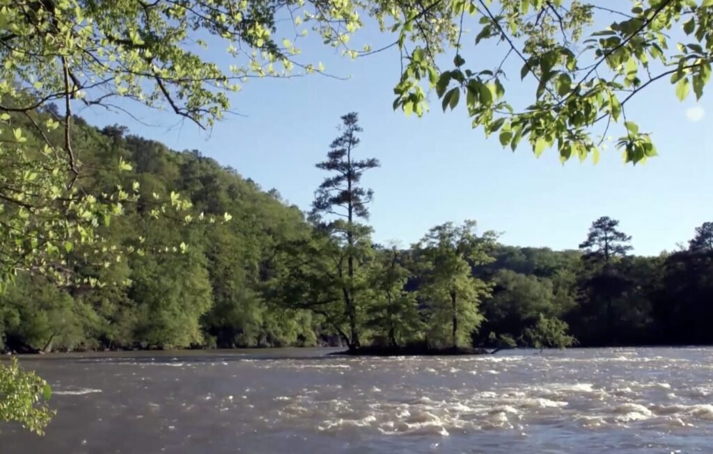 The Chattahoochee Nature Center includes trails and a river boardwalk along the Chattahoochee River. River with rippling water, trees on both banks and leaves framing the top of the scene