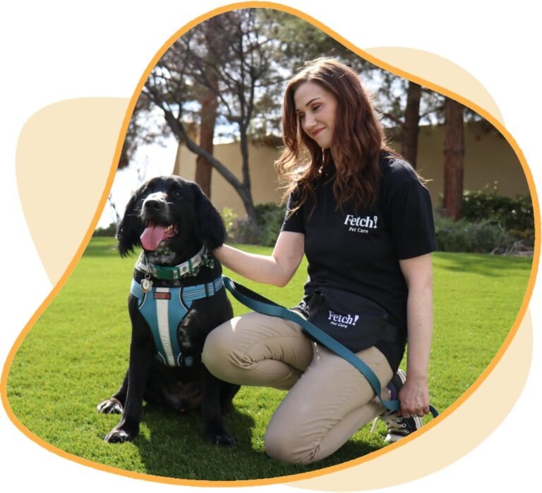 Fetch! Pet Care business photo