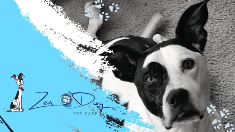 Zen Dog Pet Care business photo