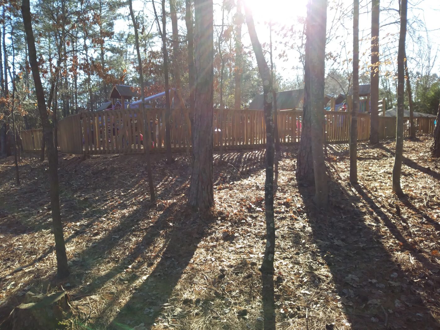 When Southern Timber Stops Paying, What Happens to the Land?