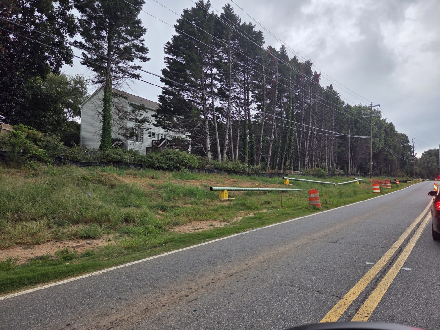 Roadside work cuts through a stretch of pine country as mill closures and weak prices reshape the timber market. Utility poles and roadwork barrels along a rural road bordered by pines