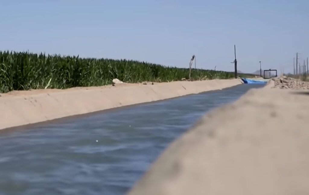 Water runs through a concrete canal beside a field of tall green crops.