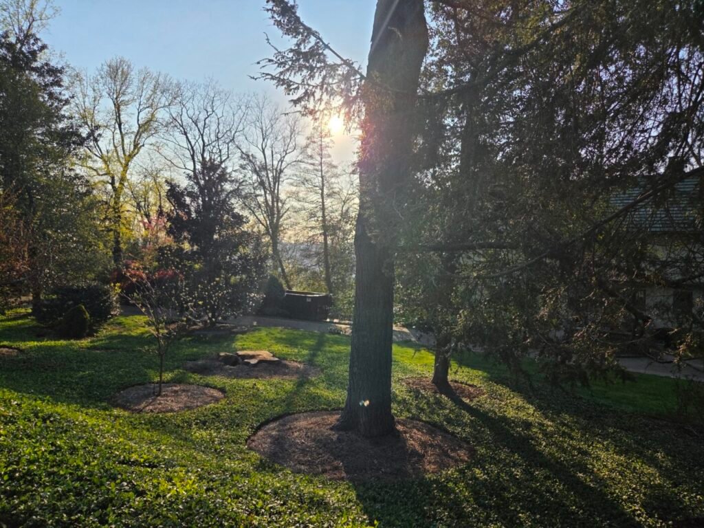 Sunlight filters through trees over a grassy yard with a distant mountain view.