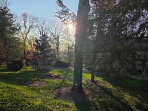 Where to Feel the Coming of Fall Around North Atlanta