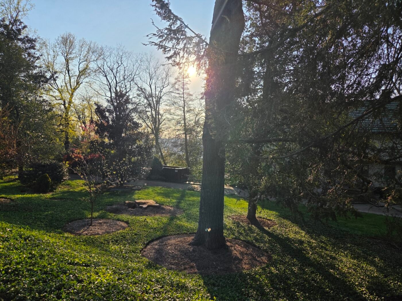 Sunlight filters through trees over a grassy yard with a distant mountain view.