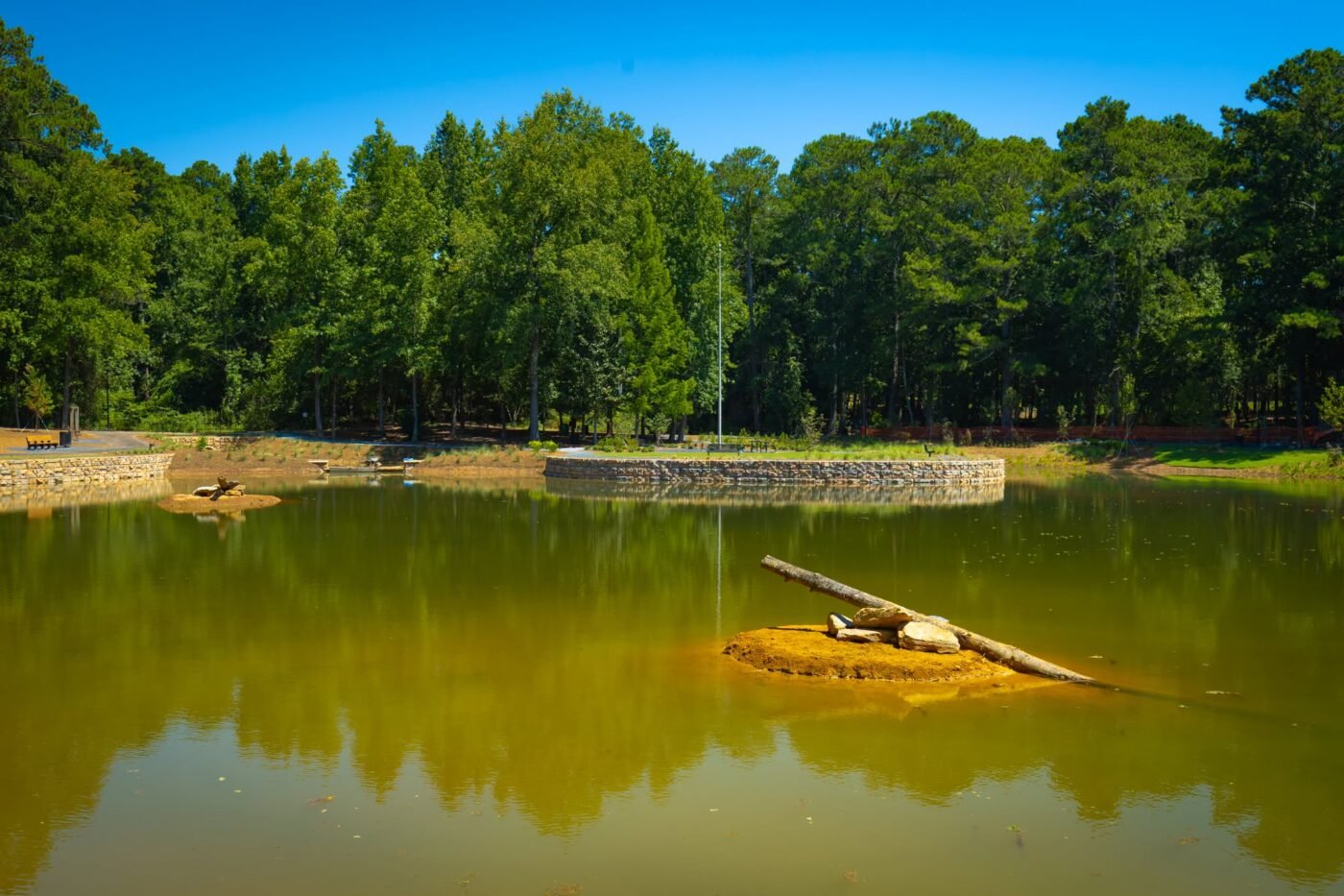 Pond water bordered by stone walls and trees, with a small habitat log structure near the surface.