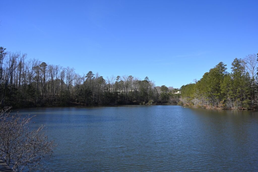 A calm lake bordered by trees under a clear blue sky