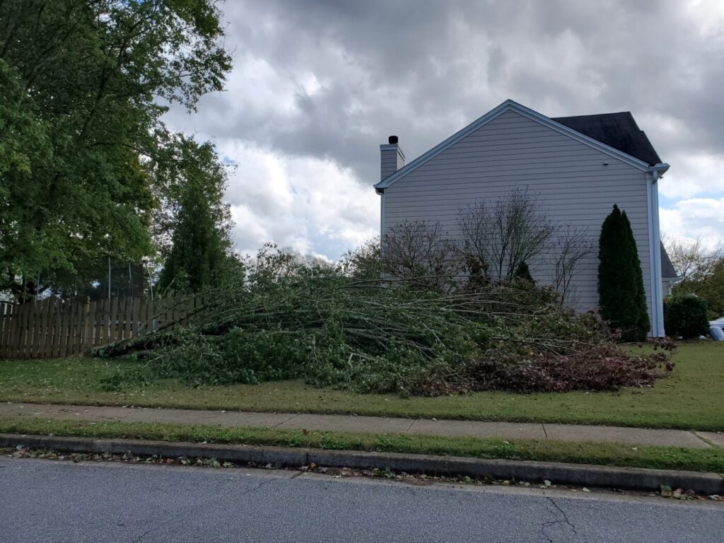 Downed tree limbs piled beside a house on a residential street.