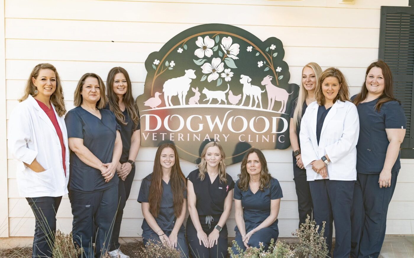 Dogwood Opens Dunwoody Hospital With Imaging Job Paying $18–$38 an Hour