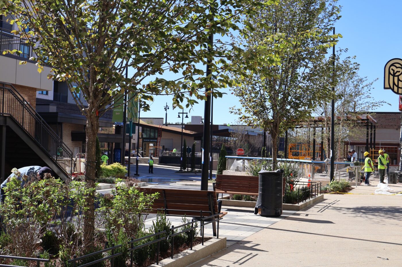 Landscaped benches and a street leading toward STIR and Tonic House at Medley.