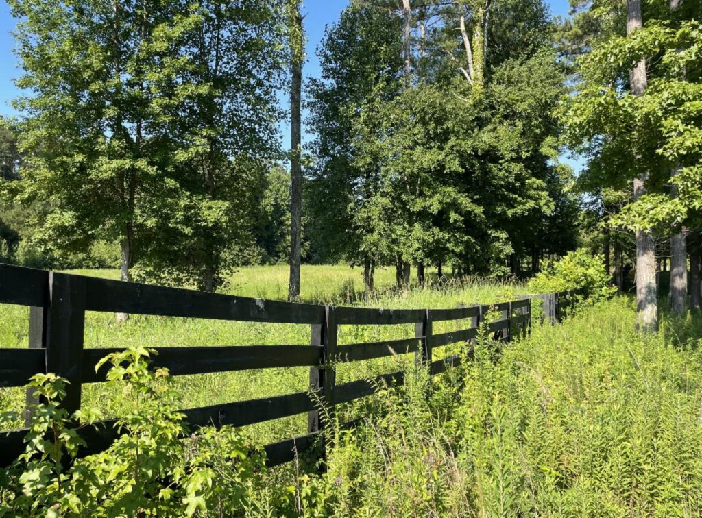 A black wooden fence runs beside a grassy, tree-lined field under a clear blue sky.
