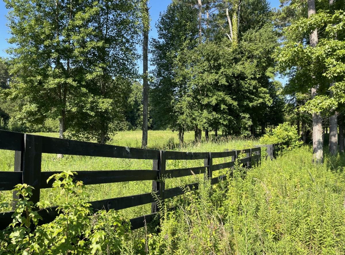A black wooden fence runs beside a grassy, tree-lined field under a clear blue sky.