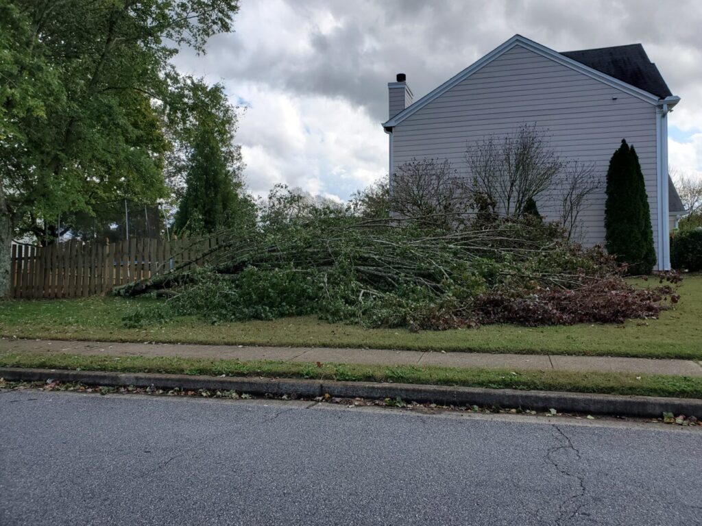 A large fallen tree лежs across a front yard beside a house and fence.