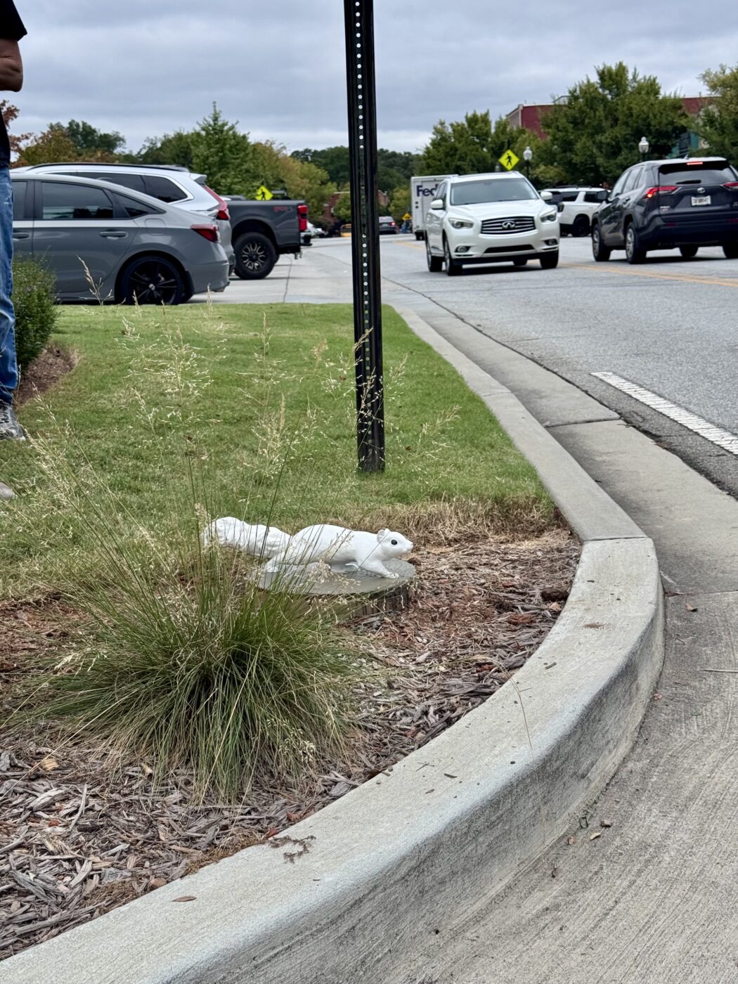 A white squirrel sculpture rests beside a curb with parked cars and traffic in the background.