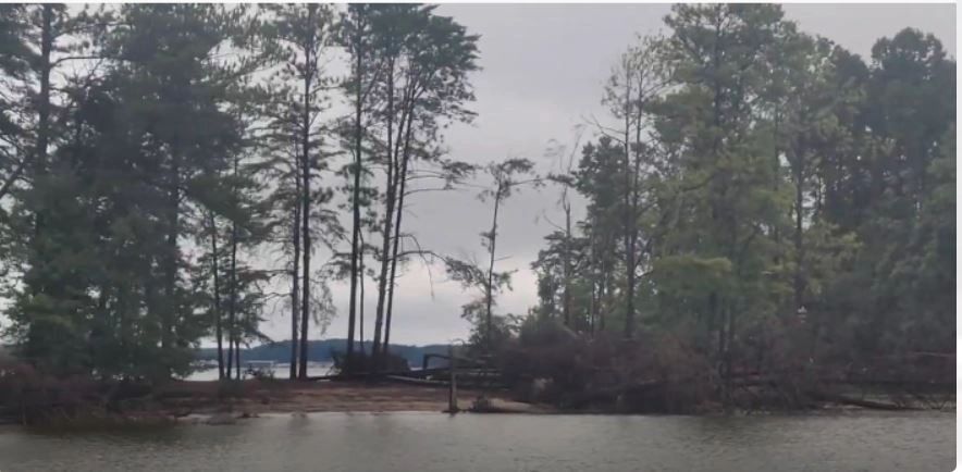 A wooded island shoreline on Lake Lanier with trees along the water