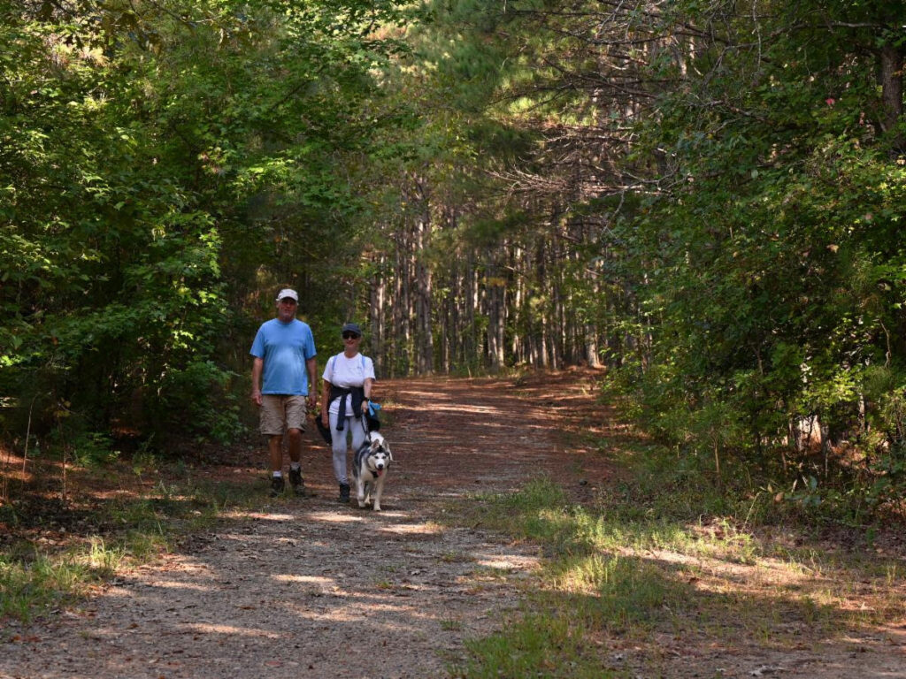 Two people walking a wooded trail with a dog.